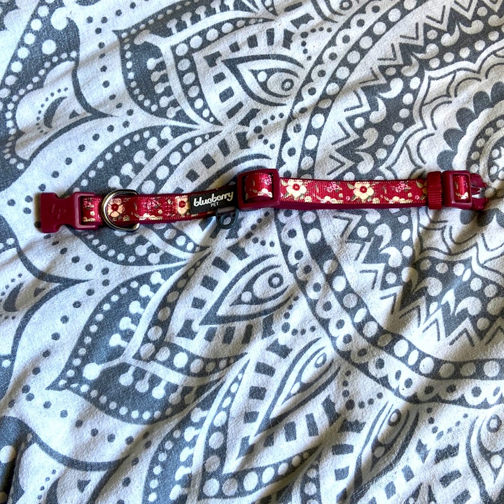 Dog Collar